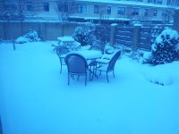 2013-01-15 12.30.04.jpg