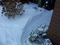 20130115_111807[1].jpg