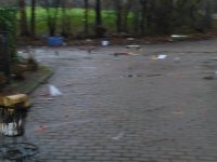 P1000097.jpg