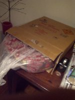 2012-12-28 19.33.58.jpg