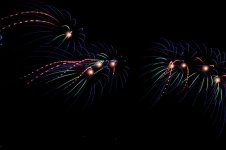 IMG_1295.jpg
