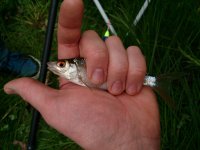 DSC_9219.jpg