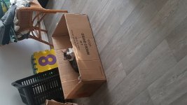 20180101_102321.jpg