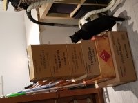 20171228_010112.jpg