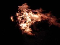 IMG_20180101_005003.jpg