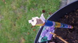 IMG-20171231-WA0031.jpg