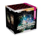 stormbird.jpg