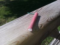 20140815_115001.jpg