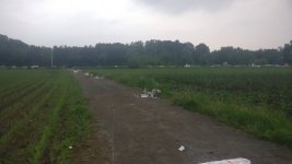 IMG_20180603_015056_628.jpg