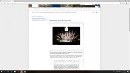 vuurwerk afsteken frankrijk legaal bewijs nederlands.jpg