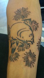 IMG-20180802-WA0009.jpg