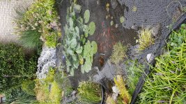 20180820_124059.jpg