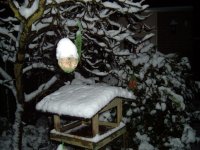 Sneeuw 23-11-2008 005.jpg