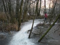 Koude winter 9-134.jpg