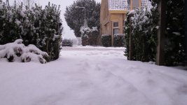 IMG_1888.jpg