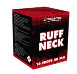 Ruffneck Evolution Vuurwerk Almere Haven.jpg