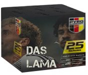 Der Hammer VWT ACTIE 2.jpg