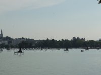 DSCN8984.jpg
