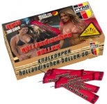 hollandischer boller dd.jpg