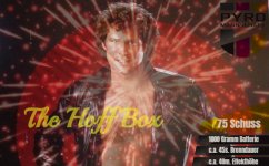 david_hasselhoff (1).jpg