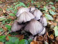 20180922_133624.jpg