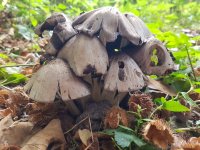 20180922_133646.jpg