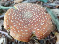 20180922_143407.jpg