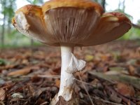 20180922_143416.jpg