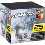 schneefall.jpg