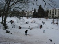 IMG_4209.jpg