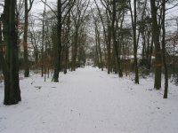 IMG_4250.jpg
