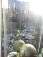 20121206_111744.jpg