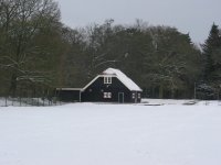 IMG_4241.jpg