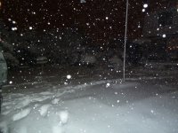 winter2010 034.jpg