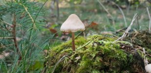 20181006_154047.jpg