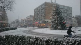 DSC_0051.jpg