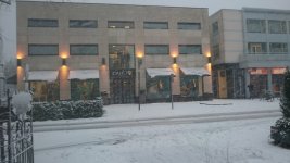 DSC_0053.jpg