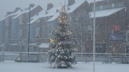 DSC_0060.jpg