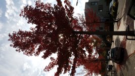 20181016_114816.jpg