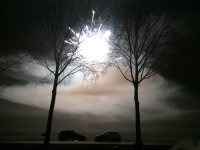 IMG_9923.jpg