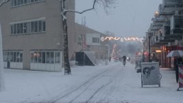 DSC_0082.jpg