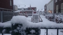DSC_0093.jpg