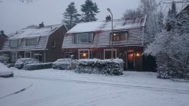 DSC_0095.jpg