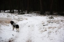 DSC_0888.jpg