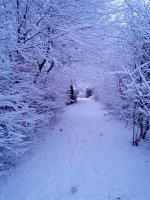 IMG_20130313_184753.jpg
