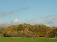 DSC01060.jpg