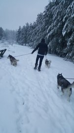 IMG-20171211-WA0033.jpg