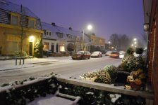 DSC_1525.jpg