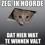 20181117_011459.jpg