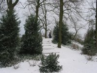 IMG_4216.jpg